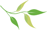 174858f950n6cdcngkzl6m.png
