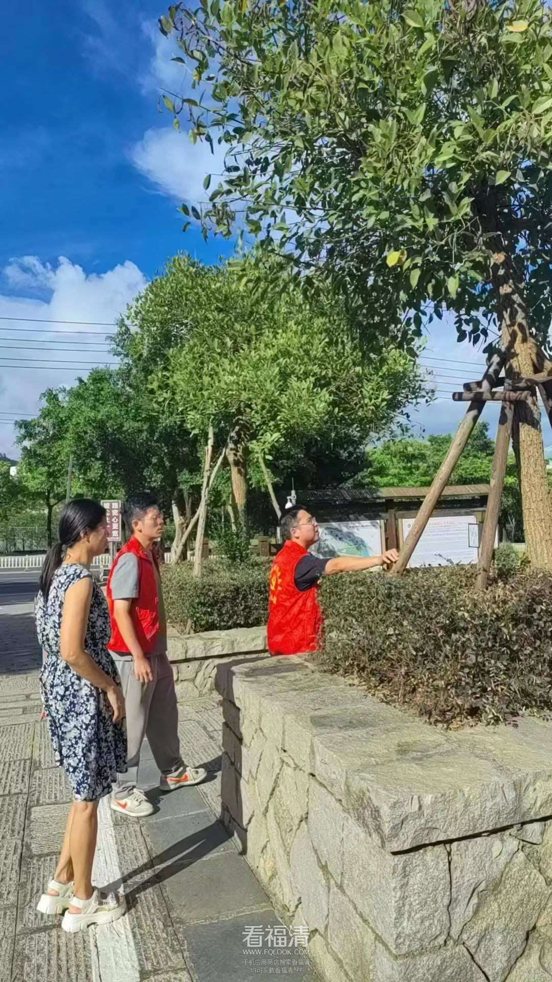085946kwgy3qneowk96qoe.jpeg