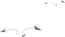 092436e1tnf2msspssy8tf.png