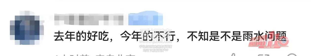 090959gvm6wscpzmr6xdzd.jpeg