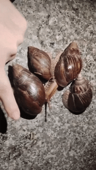 084835u7114kj77yczuygr.gif