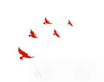 095018rhlolfajqdqonoox.png