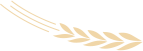 180002on8g4akekb4gl7s3.png