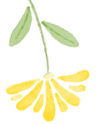 173251oxbrocjc4bakpccx.gif