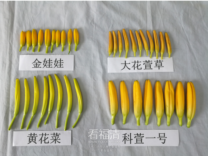 085947cbblb5yeme8i2ej2.png