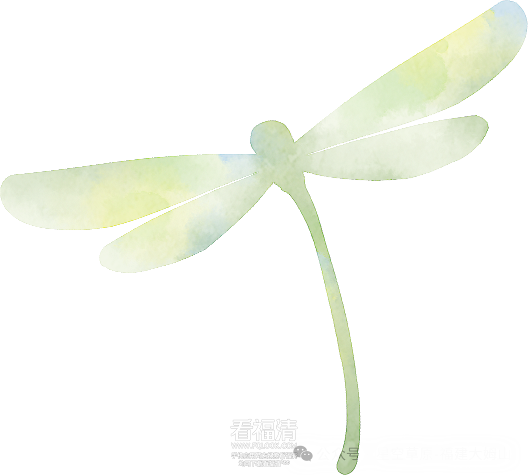 102041cbzpzyyonno2l975.png