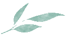 083925qba1yzaricqtycma.gif