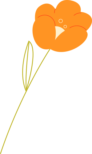 091139t3j9095lrj50rhya.png