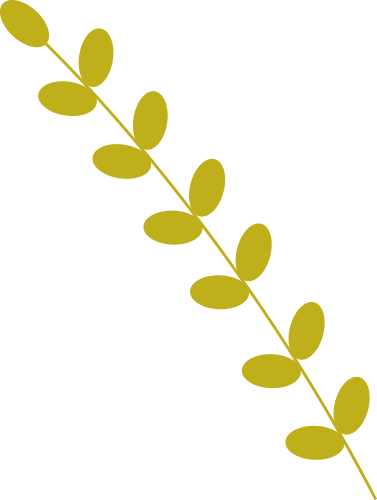 091139u3qzqryyprnplp84.png