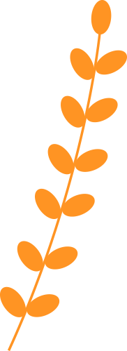 091139ufgpcsf1wcklvmfl.png