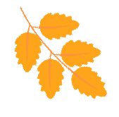 091149i1fce11m0b2dspmz.gif