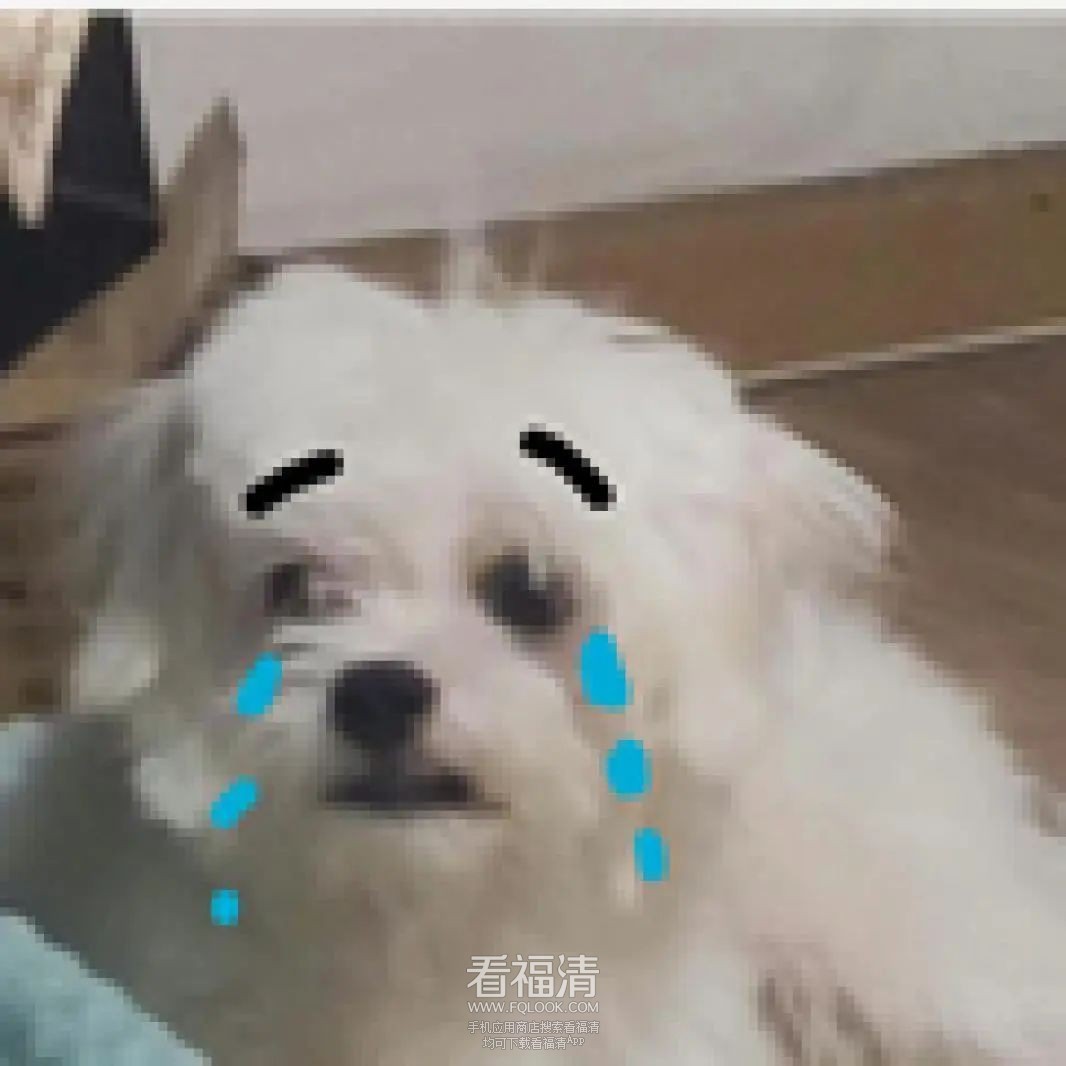 090257zf3lkfkiq3fdaffd.jpeg