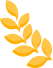 093308q2pzntk152gngryw.png