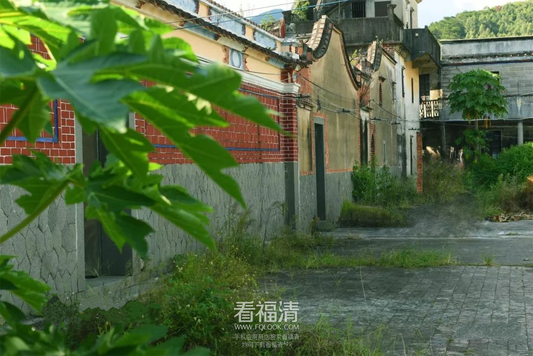 090603np354vxw4wxcpxv3.png