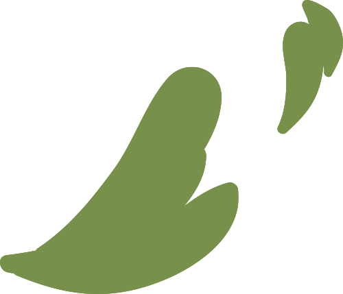 093438r6qx74b6i86qgvq3.png