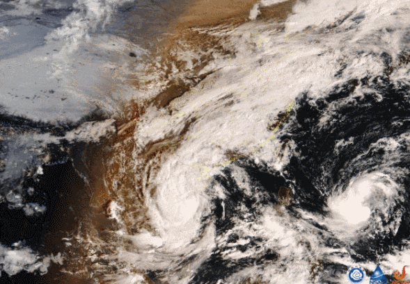 010257fwafqoogoam5wmm5.gif