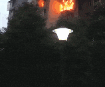 084212l3mp696n43m98285.gif