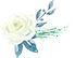 090955gvu1ywevvftksqei.png