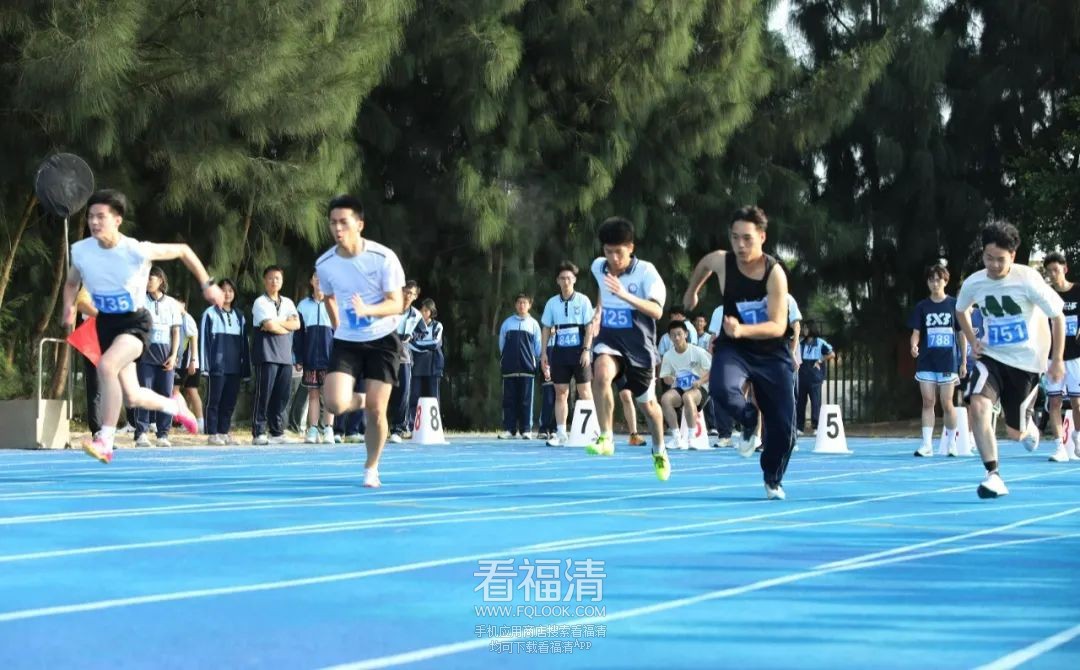 120226yuhg7g7jpt3tss3s.jpeg