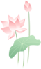 174158h8c8igz1978t82es.png