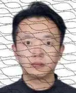 163533qy7p727zu30fu7d8.jpeg