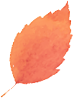 085842fkixbri1ihq0rjb0.png