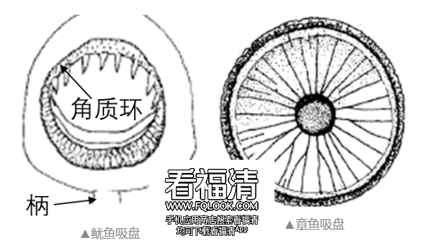 085755uk1d9ato17bra4dz.png