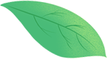 172546zfsygyssfs11ske3.png