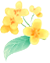 090738q12h00rqw4xrwq64.png