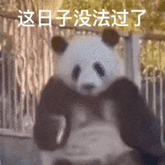 092031hjty8khzlhttye8h.gif