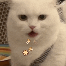 092031zmph7pa66xmxxy66.gif