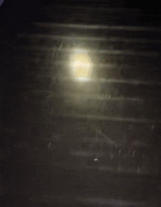 090003gc8ahuhgjucoicq1.gif