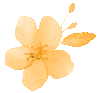 162715n5rxyc94qa1dqdz8.gif