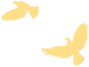 142521aybj636fjfwmbehq.png