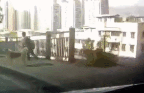 091547aqovq8nve5566v56.gif
