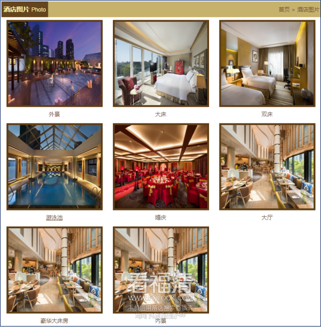 090405oygy9668hb80c987.png