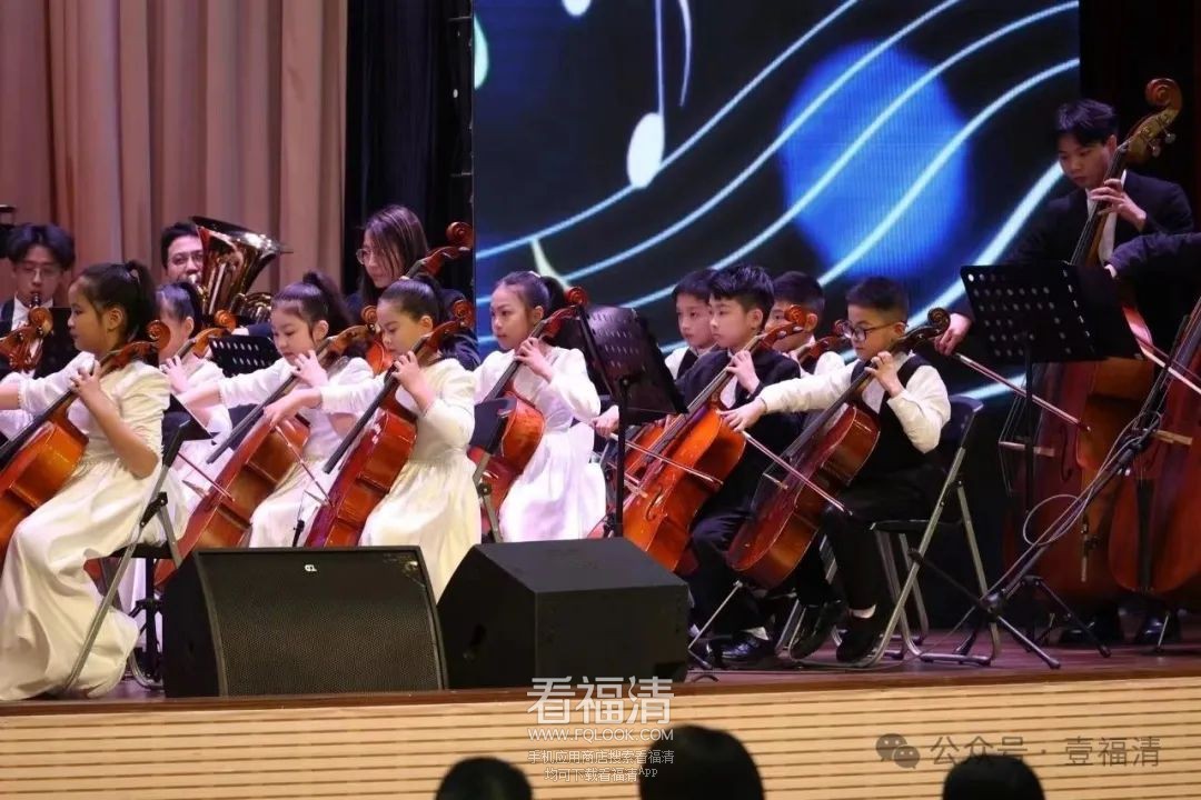 104130hty1rrp1ijf56yhz.jpeg