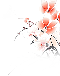 090419ievzul3eram7muwy.png