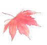 104736gfexkqnnzqip4zh4.gif