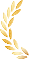 141933o6m988yqn91ab39r.png