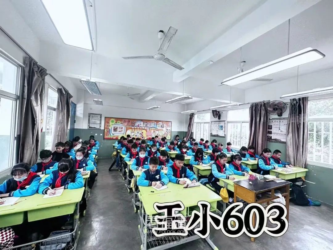 090852x63gzb55pcrgsbr2.jpeg