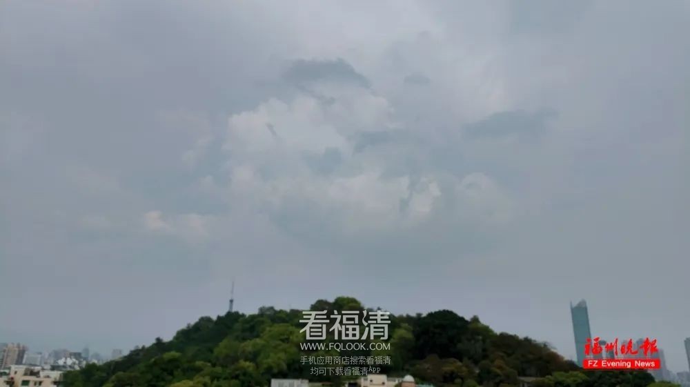 154157pggri0818azii3yz.jpeg