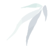 154556a2z964y4ffq62w26.gif