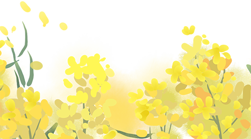 112843ysitos6zbjh8sat8.png