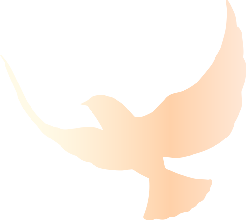 110941pbabyqb1ap2sg14a.png