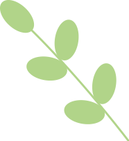 164225r4444oguafxh334e.png