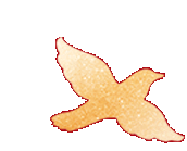 084648l2fzim0fdkt8f88p.gif