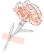 150024x5n815sg9sgnpnn5.png
