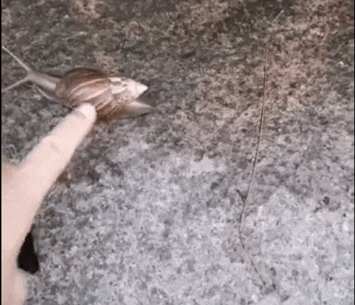 091322ypu99oo9996uzys7.gif