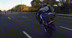082221j7xr7w8exr78vxer.gif
